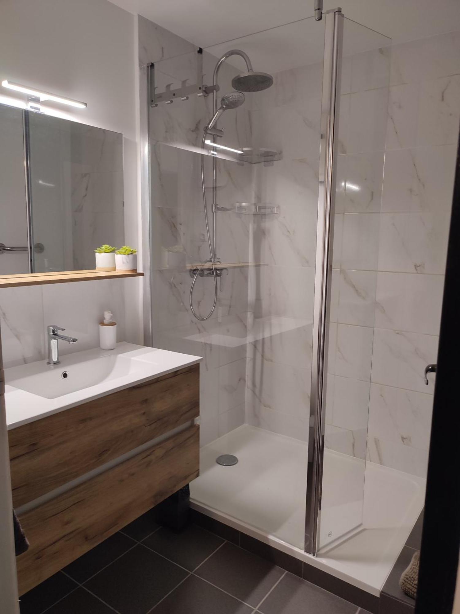 Sur Les Pas De Pierre Paul Riquet Apartment Montferrand  Екстериор снимка